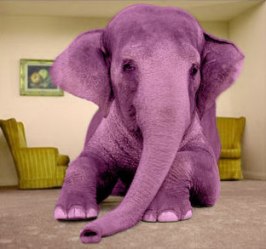 pink-elephant-living-room